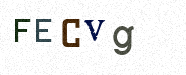 Visual Confirmation Security Code